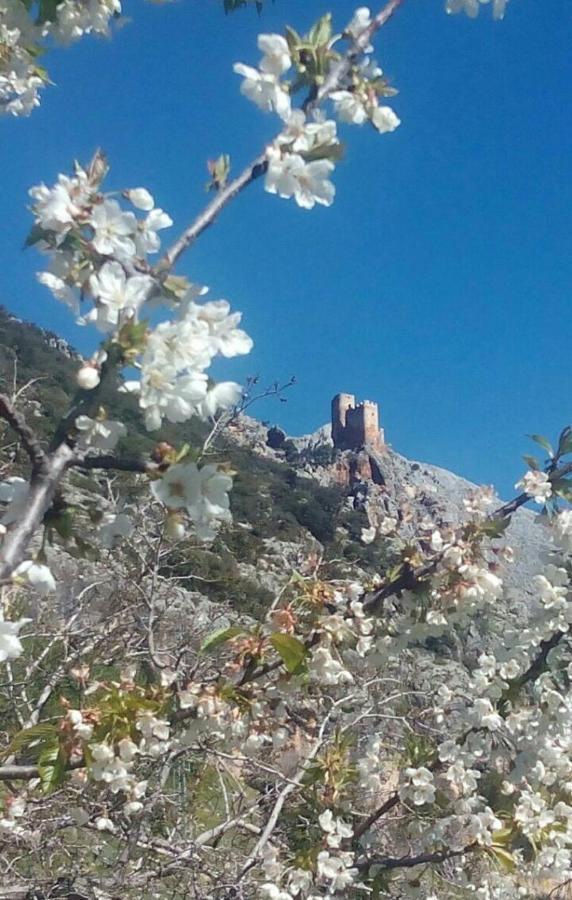 Albanchez de ÚbedaCasa La Oliva别墅 外观 照片